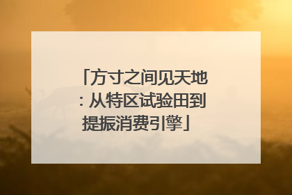 方寸之间见天地：从特区试验田到提振消费引擎