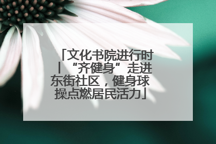 文化书院进行时丨“齐健身”走进东街社区，健身球操点燃居民活力