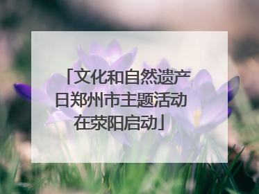 文化和自然遗产日郑州市主题活动在荥阳启动