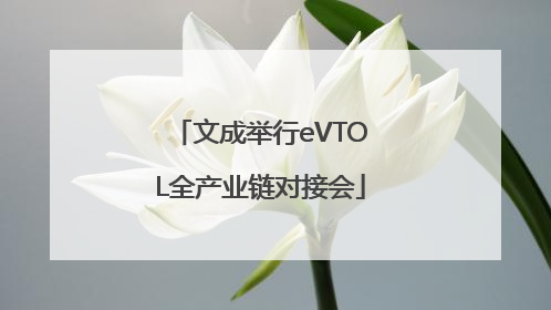 文成举行eVTOL全产业链对接会