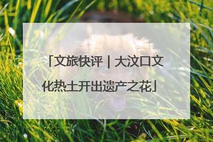 文旅快评｜大汶口文化热土开出遗产之花