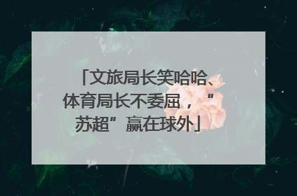 文旅局长笑哈哈、体育局长不委屈，“苏超”赢在球外