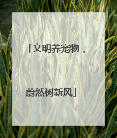 文明养宠物，蔚然树新风