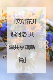 文明花开遍河洛 共建共享谱新篇