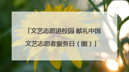 文艺志愿进校园 献礼中国文艺志愿者服务日（图）