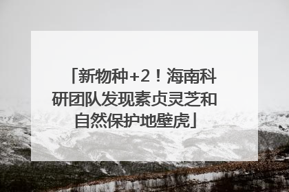 新物种+2！海南科研团队发现素贞灵芝和自然保护地壁虎