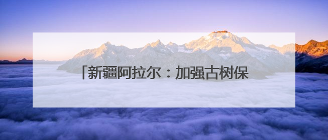 新疆阿拉尔：加强古树保护 守好“绿色文物”