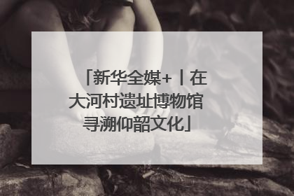新华全媒+丨在大河村遗址博物馆寻溯仰韶文化