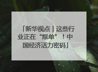 新华视点｜这些行业正在“爆单”！中国经济活力密码