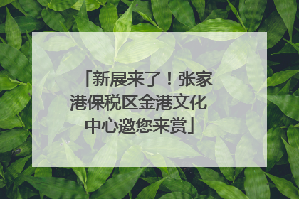 新展来了！张家港保税区金港文化中心邀您来赏