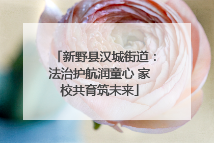 新野县汉城街道：法治护航润童心 家校共育筑未来