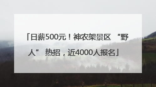 日薪500元！神农架景区 “野人” 热招，近4000人报名