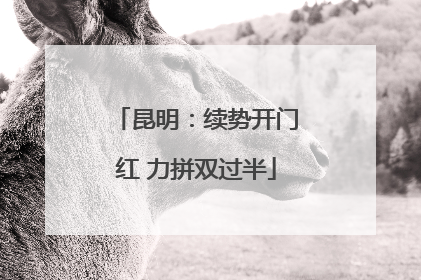 昆明：续势开门红 力拼双过半