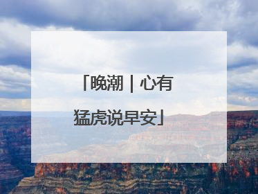 晚潮｜心有猛虎说早安