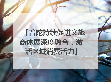 普陀持续促进文旅商体展深度融合，激活区域消费活力