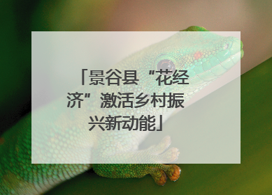 景谷县“花经济”激活乡村振兴新动能