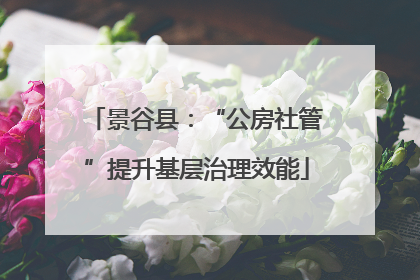 景谷县：“公房社管”提升基层治理效能