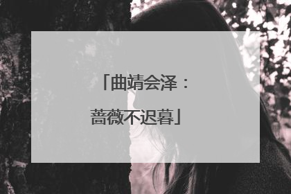 曲靖会泽：蔷薇不迟暮