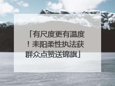 有尺度更有温度！耒阳柔性执法获群众点赞送锦旗