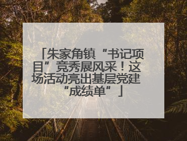 朱家角镇“书记项目”竞秀展风采！这场活动亮出基层党建“成绩单”