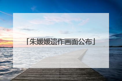 朱媛媛遗作画面公布