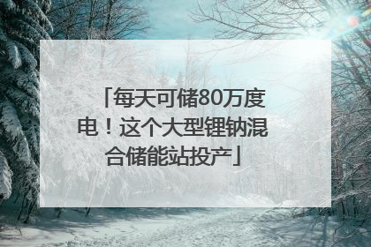每天可储80万度电！这个大型锂钠混合储能站投产