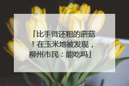 比手臂还粗的蘑菇！在玉米地被发现，柳州市民：能吃吗