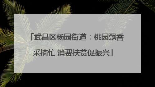 武昌区杨园街道：桃园飘香采摘忙 消费扶贫促振兴