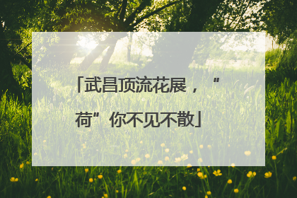 武昌顶流花展，“荷”你不见不散