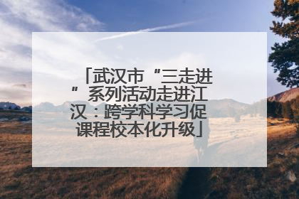武汉市“三走进”系列活动走进江汉：跨学科学习促课程校本化升级