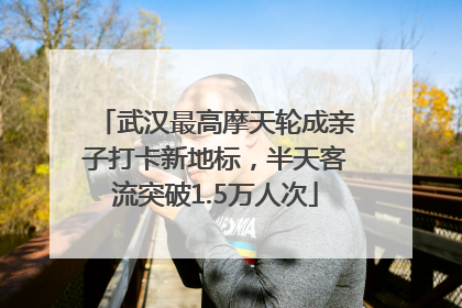 武汉最高摩天轮成亲子打卡新地标，半天客流突破1.5万人次