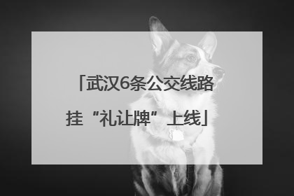武汉6条公交线路挂“礼让牌”上线
