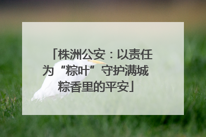 株洲公安：以责任为“粽叶”守护满城粽香里的平安