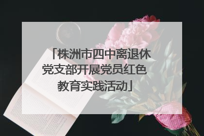 株洲市四中离退休党支部开展党员红色教育实践活动