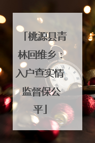 桃源县青林回维乡：入户查实情 监督保公平