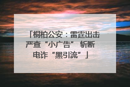 桐柏公安：雷霆出击严查“小广告” 斩断电诈“黑引流”