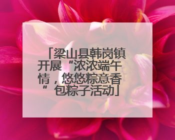 梁山县韩岗镇开展“浓浓端午情，悠悠粽意香”包粽子活动
