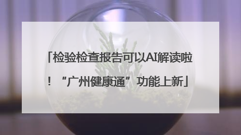 检验检查报告可以AI解读啦！“广州健康通”功能上新
