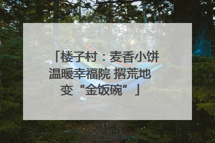 楼子村：麦香小饼温暖幸福院 撂荒地变“金饭碗”