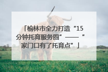 榆林市全力打造“15分钟托育服务圈”——“家门口有了托育点”