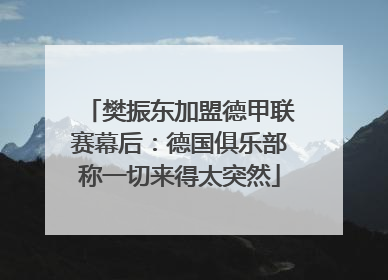 樊振东加盟德甲联赛幕后：德国俱乐部称一切来得太突然