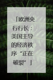 欧洲央行行长：美国主导的经济秩序“正在破裂”