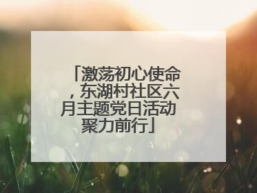 激荡初心使命，东湖村社区六月主题党日活动聚力前行