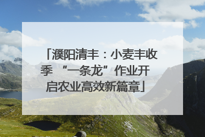濮阳清丰：小麦丰收季 “一条龙”作业开启农业高效新篇章
