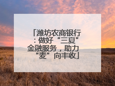 潍坊农商银行：做好“三夏”金融服务，助力“麦”向丰收