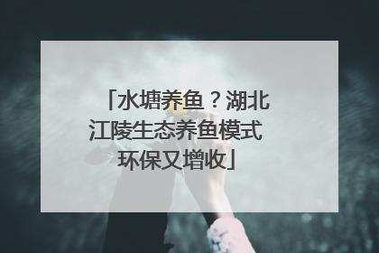 水塘养鱼？湖北江陵生态养鱼模式环保又增收