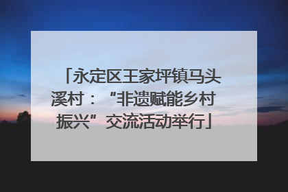 永定区王家坪镇马头溪村：“非遗赋能乡村振兴”交流活动举行