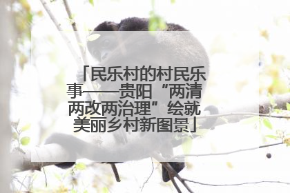 民乐村的村民乐事——贵阳“两清两改两治理”绘就美丽乡村新图景