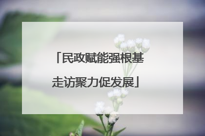 民政赋能强根基 走访聚力促发展