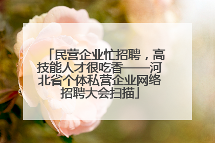 民营企业忙招聘，高技能人才很吃香——河北省个体私营企业网络招聘大会扫描